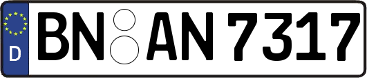 BN-AN7317