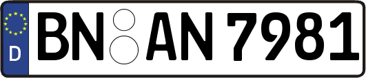 BN-AN7981