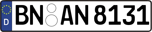 BN-AN8131