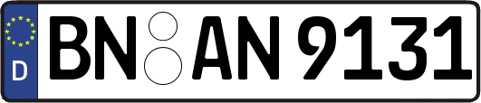 BN-AN9131