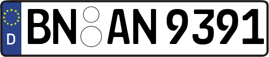 BN-AN9391