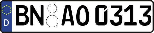 BN-AO0313