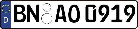 BN-AO0919
