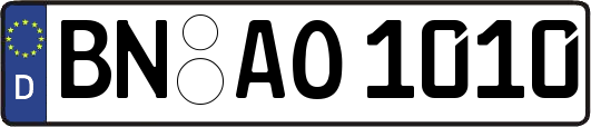 BN-AO1010