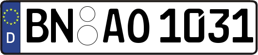 BN-AO1031