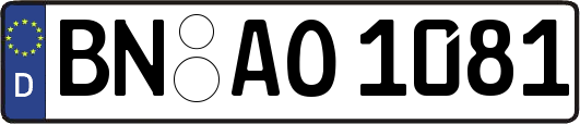 BN-AO1081