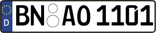BN-AO1101
