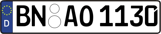 BN-AO1130