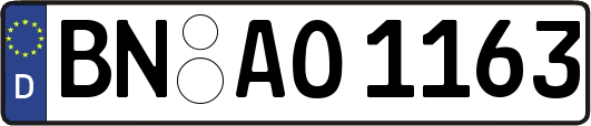 BN-AO1163