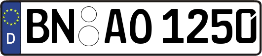 BN-AO1250