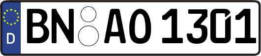 BN-AO1301