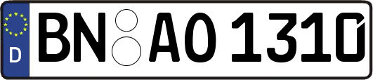 BN-AO1310