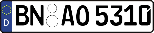 BN-AO5310