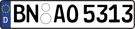 BN-AO5313