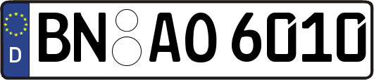 BN-AO6010