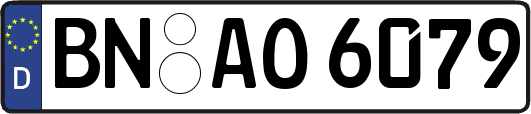 BN-AO6079