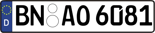 BN-AO6081