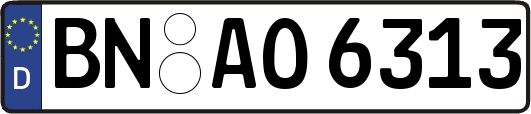 BN-AO6313