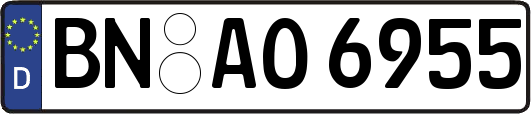 BN-AO6955