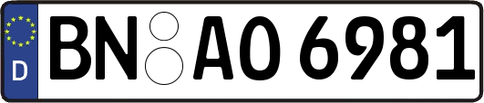 BN-AO6981