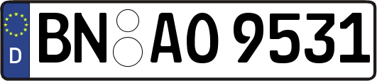 BN-AO9531