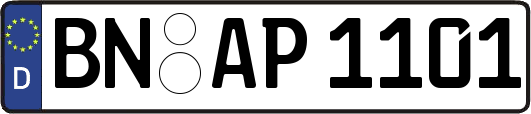 BN-AP1101