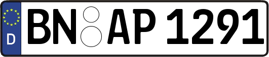 BN-AP1291