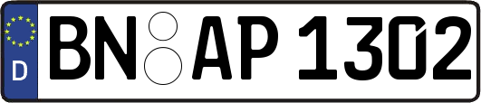 BN-AP1302
