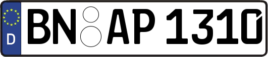 BN-AP1310