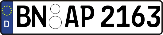 BN-AP2163