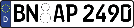 BN-AP2490