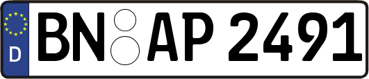 BN-AP2491