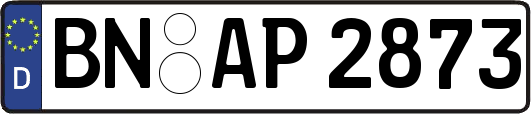 BN-AP2873