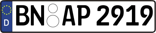BN-AP2919