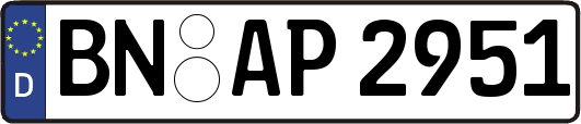 BN-AP2951