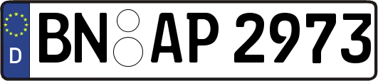 BN-AP2973