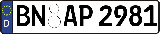 BN-AP2981