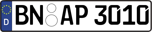 BN-AP3010