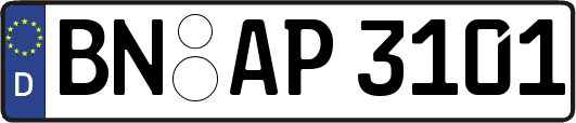 BN-AP3101