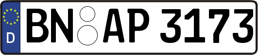 BN-AP3173