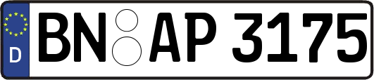 BN-AP3175