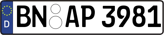 BN-AP3981