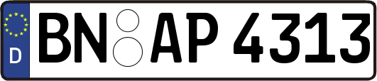 BN-AP4313
