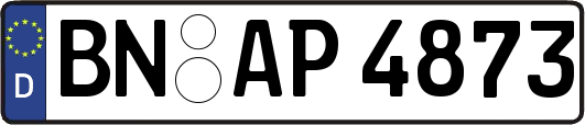 BN-AP4873