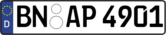 BN-AP4901
