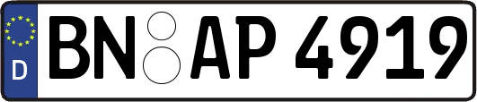 BN-AP4919