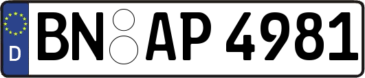 BN-AP4981