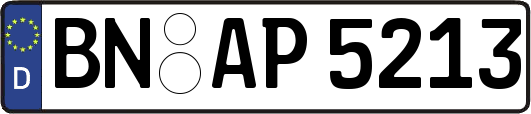 BN-AP5213