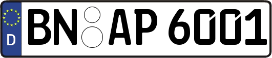 BN-AP6001