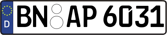 BN-AP6031